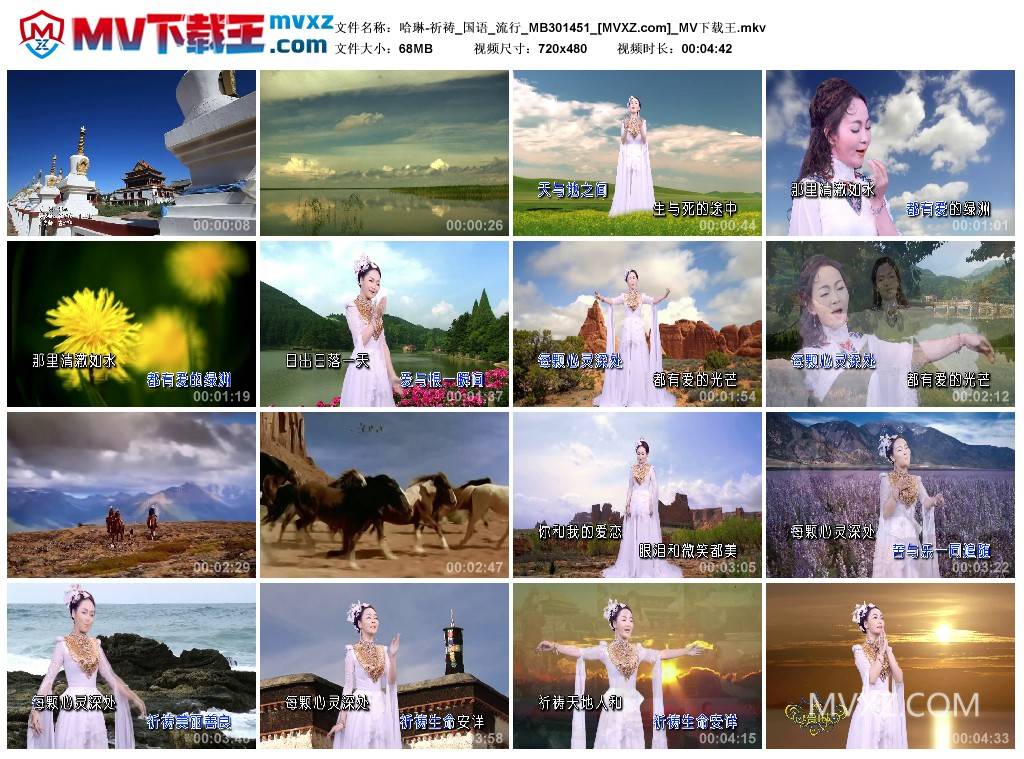 哈琳-祈祷_国语_流行_MB301451